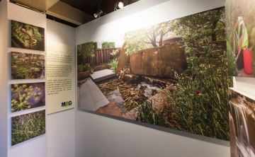 The M&G Garden Story exhibtion, Chlesea Flower Show